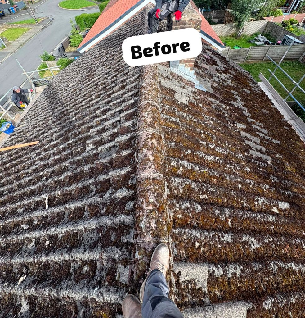 Mossy tile roof cleaned and restored — Before